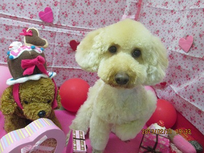 ファイル 6361-2.jpg