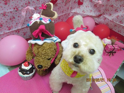 ファイル 6362-1.jpg