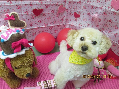 ファイル 6362-2.jpg