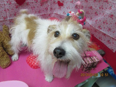 ファイル 6363-1.jpg