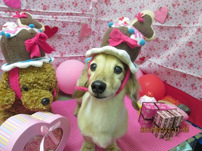 ファイル 6364-1.jpg