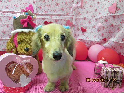 ファイル 6364-2.jpg