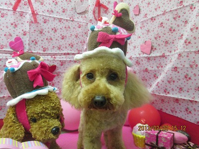 ファイル 6365-1.jpg