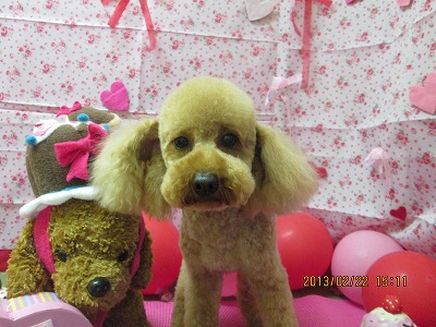 ファイル 6365-2.jpg