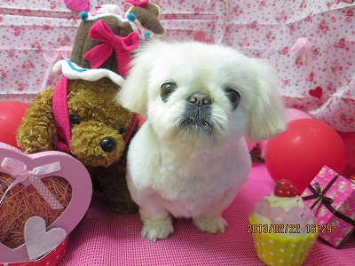 ファイル 6366-1.jpg