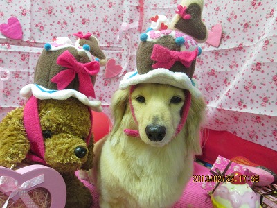 ファイル 6367-1.jpg