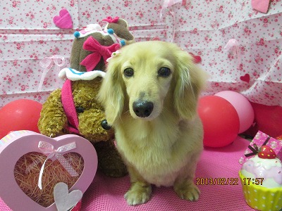 ファイル 6367-2.jpg