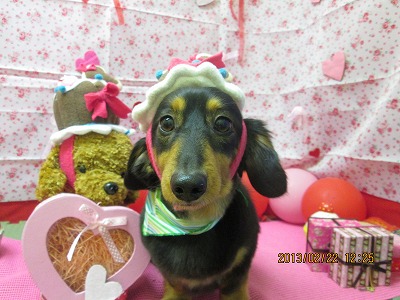 ファイル 6368-1.jpg