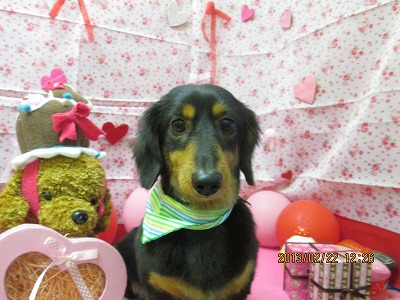 ファイル 6368-2.jpg