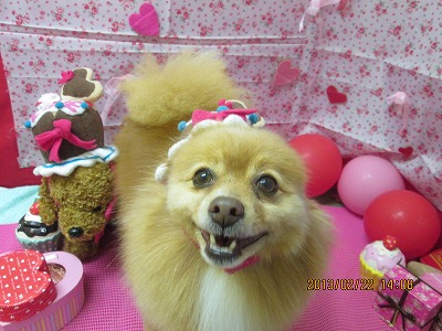 ファイル 6369-1.jpg