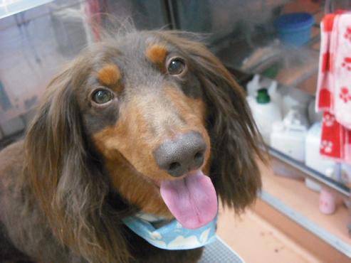 ファイル 637-1.jpg