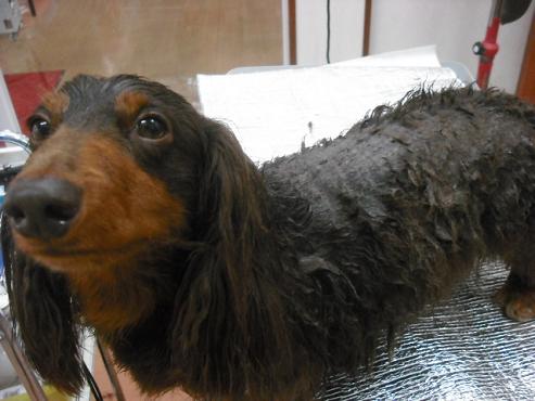 ファイル 637-2.jpg