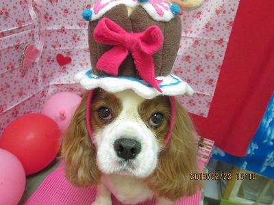 ファイル 6370-1.jpg