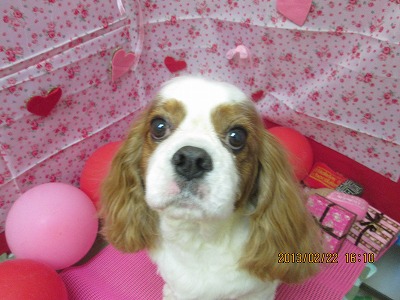 ファイル 6370-2.jpg