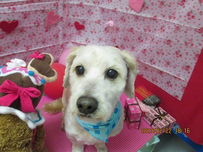 ファイル 6371-1.jpg