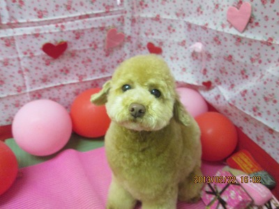 ファイル 6374-1.jpg