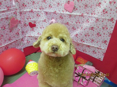 ファイル 6374-2.jpg