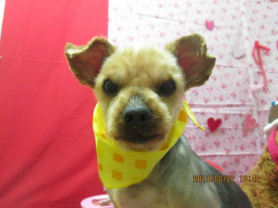 ファイル 6375-1.jpg