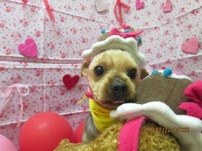 ファイル 6375-2.jpg