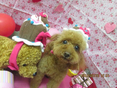 ファイル 6378-1.jpg