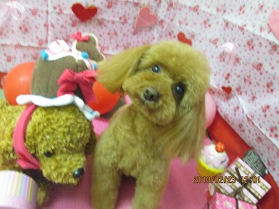 ファイル 6378-2.jpg