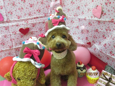 ファイル 6379-1.jpg