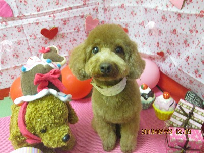 ファイル 6379-2.jpg