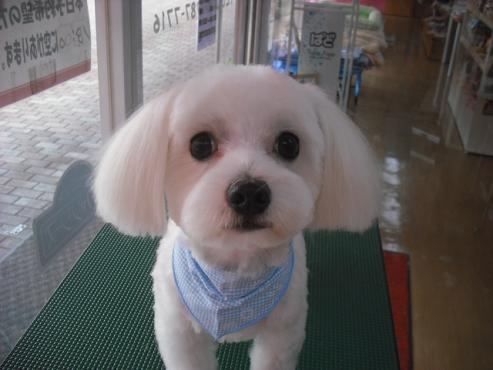 ファイル 638-1.jpg