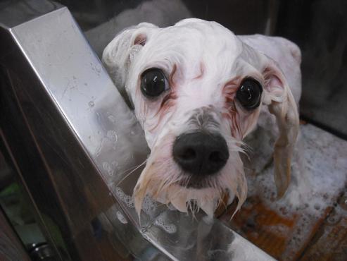 ファイル 638-2.jpg