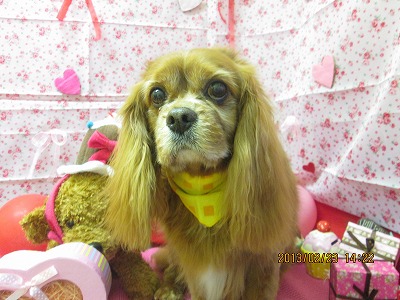 ファイル 6380-2.jpg