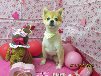 ファイル 6381-2.jpg