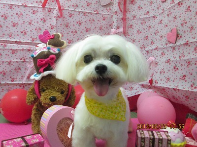 ファイル 6382-1.jpg