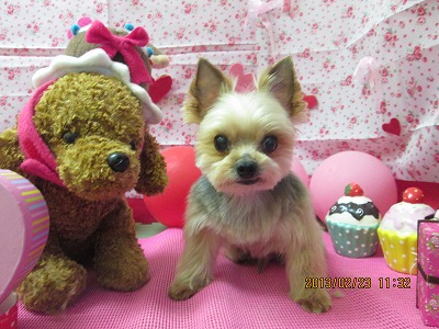 ファイル 6383-2.jpg