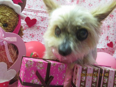 ファイル 6384-1.jpg