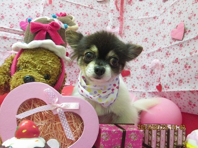 ファイル 6385-2.jpg