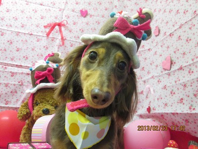 ファイル 6386-1.jpg