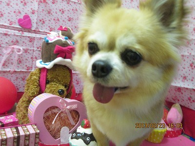 ファイル 6389-1.jpg