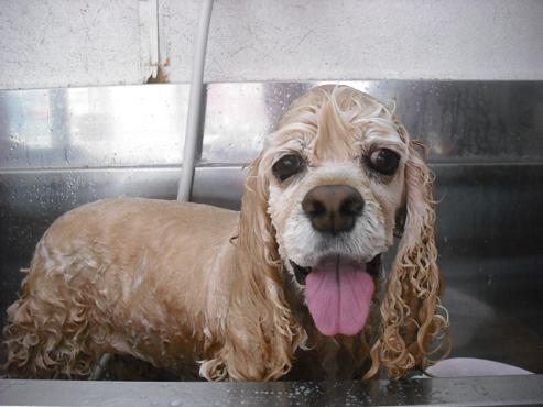 ファイル 639-2.jpg