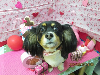 ファイル 6391-1.jpg