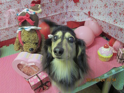 ファイル 6393-1.jpg