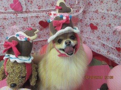 ファイル 6394-1.jpg