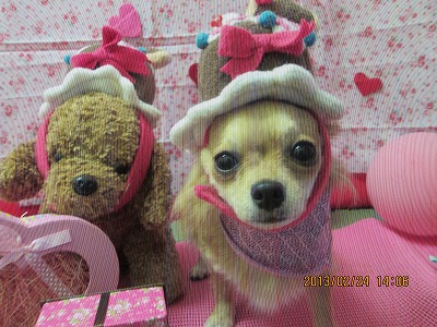 ファイル 6395-1.jpg