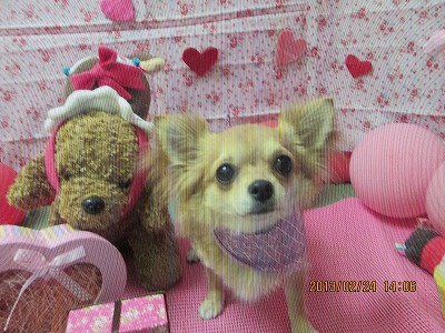 ファイル 6395-2.jpg