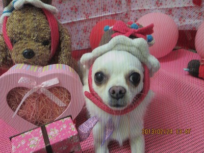 ファイル 6396-1.jpg