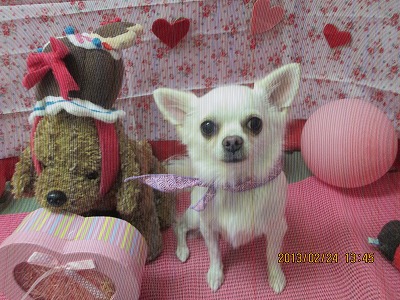 ファイル 6396-2.jpg