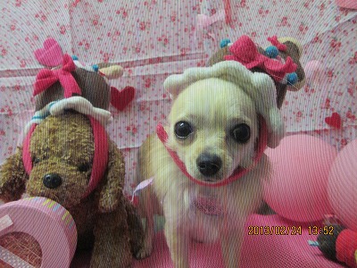 ファイル 6397-1.jpg