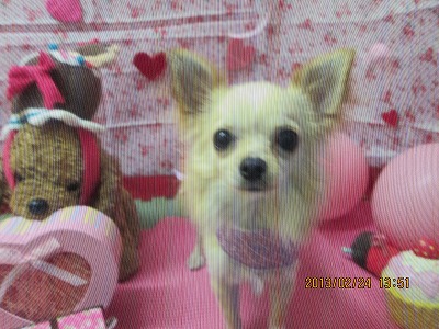 ファイル 6397-2.jpg