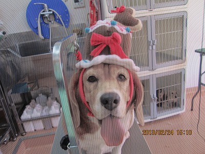 ファイル 6398-1.jpg