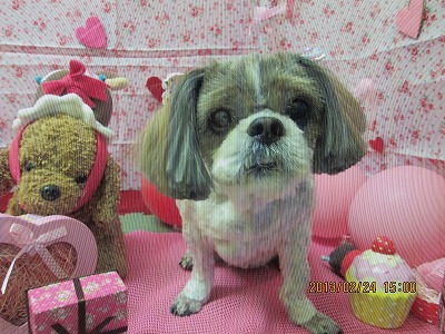 ファイル 6399-1.jpg