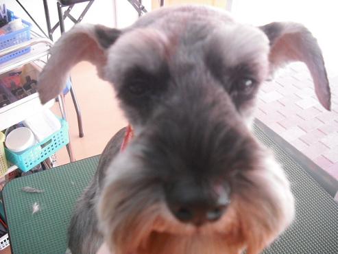 ファイル 64-1.jpg